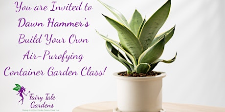 Dawn Hammer's Build Your Own Air-Purifying Container Garden Class primary image