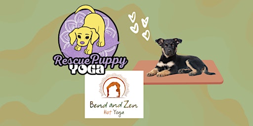 Imagem principal do evento Rescue Puppy Yoga - Bend and Zen Nashville