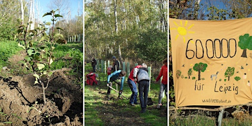 Pflanzaktion im Pereser Holz primary image