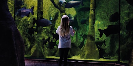 Quiet at the Aquarium - Annual Pass Bookings 5th May primary image
