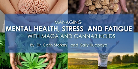 Managing mental health, stress and fatigue with maca and cannabinoids primary image