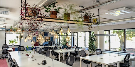 Primaire afbeelding van Opening Bar d'Office Brussel | Transforma BXL