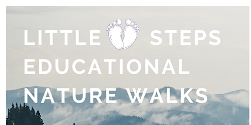 Imagem principal do evento Little Steps Nature Walks