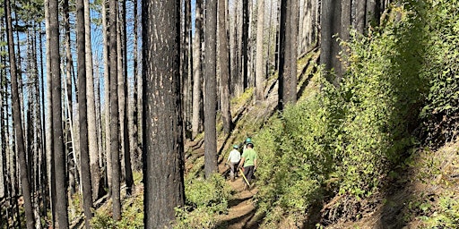 Imagem principal de Gorge 400 Trail Party - Gorge