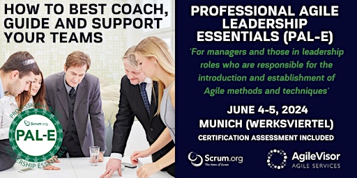 Imagen principal de Certified Training | Professional Agile Leadership (PAL-E)