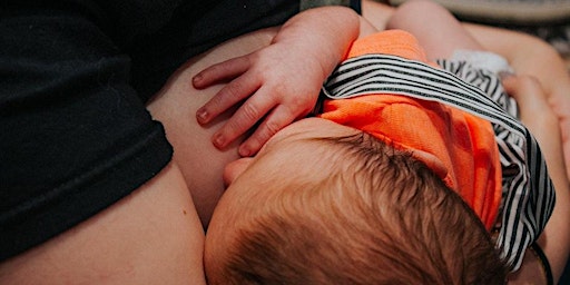 Imagen principal de VIRTUAL Breastfeeding Class for Doula Certification - Monday, May 20, 2024