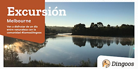 Dingoos Lillydale Lake Excursión - Melbourne primary image