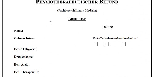Immagine principale di Der physiotherapeutische Befund incl Sicherheitstests+ screening/red flags 