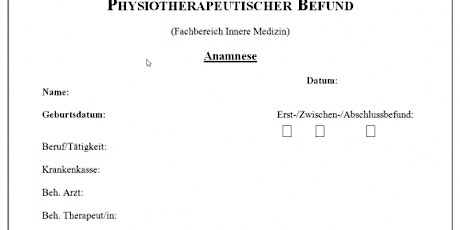 Der physiotherapeutische Befund incl Sicherheitstests+ screening/red flags