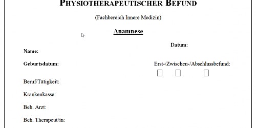 Imagem principal de Der physiotherapeutische Befund incl Sicherheitstests+ screening/red flags