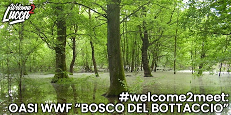 Immagine principale di #welcome2meet: oasi Wwf "Bosco del Bottaccio" 
