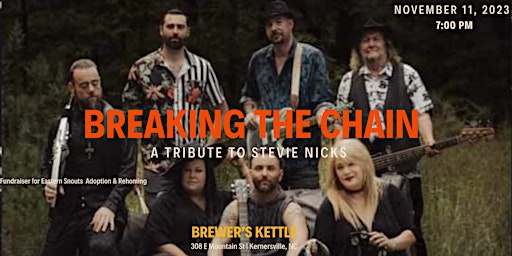 Imagen principal de Halloween Bash w/ Breaking the Chain - Tribute to Stevie Nicks