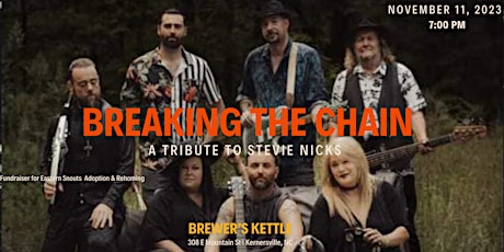 Halloween Bash w/ Breaking the Chain - Tribute to Stevie Nicks