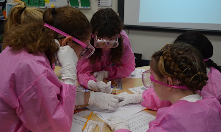 Expanding Your Horizons - Fall STEM Workshop for Middle School Girls image