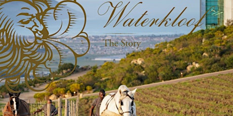 A night with Darkhorse & Waterkloof winery primary image