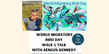 Imagen principal de Celebrate World Migratory Bird Day with a Walk & Talk with Aengus Kennedy.