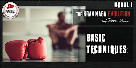 Hauptbild für Krav Maga Course  -  Modul 1 | Basic Techniques