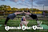 Logotipo de Carolina Goat Yoga