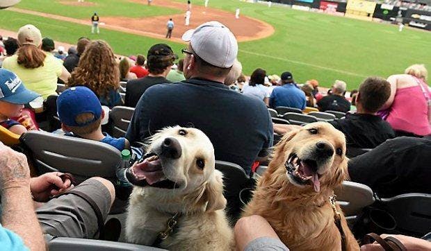 St. Paul Saints Dog Day 