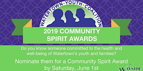 2019 Community Spirit Awards primary image