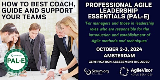 Primaire afbeelding van Certified Training | Professional Agile Leadership (PAL-E)