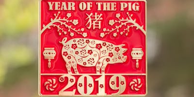 2019 The New Year Running/Walking Challenge-Year of the Pig -Memphis