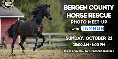 Bergen County Horse Rescue Meet-up primary image