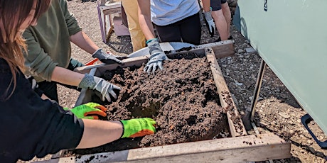 Primaire afbeelding van Introduction to Composting