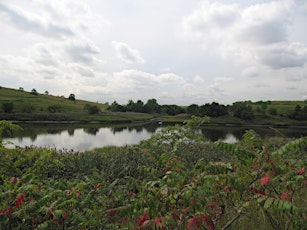 From Landfill to Wildlflowers: A Private Tour of Fresh Kills Park With NWF primary image