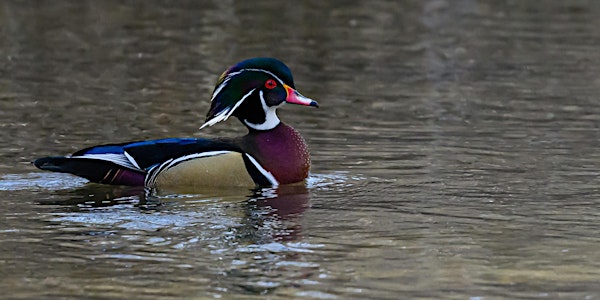 Winter in Kathryn Albertson Park