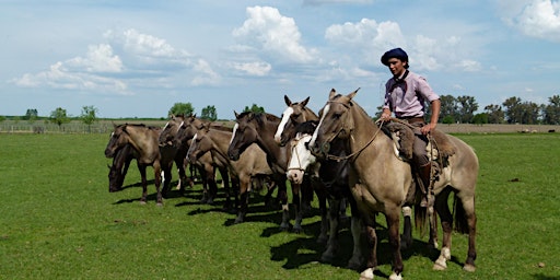 Horseback ride with Gauchos  primärbild