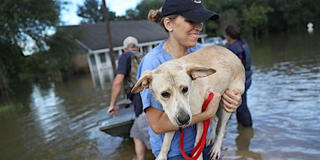 Imagen principal de Effective Planning for Animals in Disaster