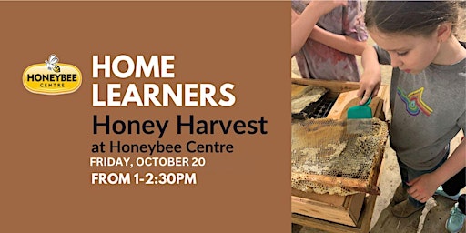 Honey Harvest - Home Learners - Oct 20 primary image
