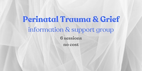 Perinatal Trauma and Grief Support Group primary image