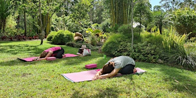 Yoga in nature primary image