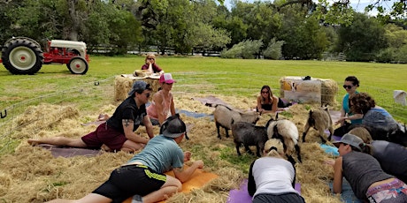 2019 Goats & Yoga primary image