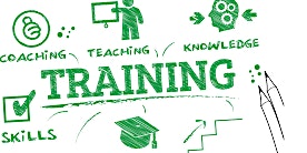 Co-facilitator training Senior Leadership Safeguarding Pathway 2024 primary image