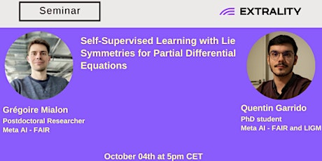 Self-Supervised Learning with Lie Symmetries for Partial Differential Equat primary image