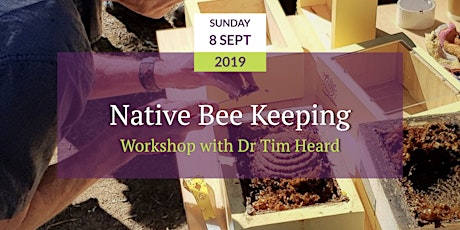 Native Bee Keeping Workshop with Dr Tim Heard primary image