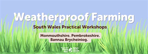 Collection image for NFFN Cymru: Weatherproof Farming South Wales