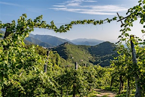 Immagine principale di Di Riva in Riva: degustare il territorio in un calice 