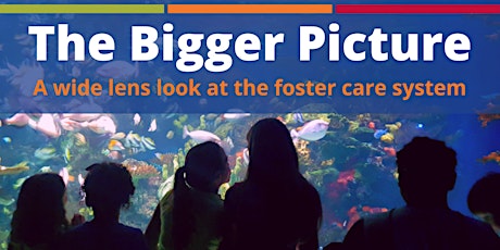 The Bigger Picture: A Wide Lens Look at the Foster Care System primary image