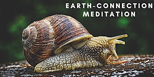Earth-Connection Meditation primary image