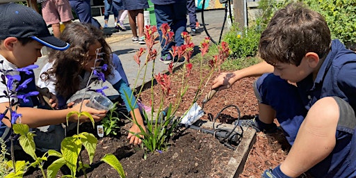 Imagem principal do evento Garden Volunteer Work Day