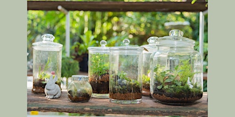 Craft Night@ Dandy Lion Coffee Co : Build a Terrarium