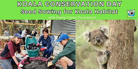 Imagem principal do evento Koala Conservation Day: Seed Sowing for Koala Habitat
