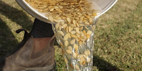 Seed Saving Workshop with Green Patch Organic Seeds - Harrington primary image