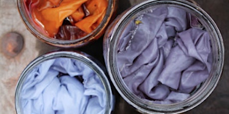 Natural Dye Demonstration  primary image