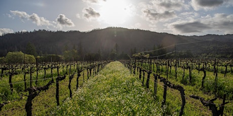 The Wines of 'New Australia' primary image