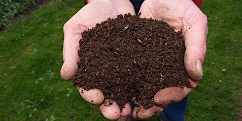 Hauptbild für Wildlife Live Webinar - The value of compost (EWC2821)